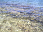 Beef Island Image 3