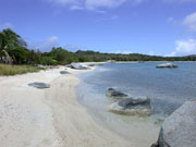 Trellis Bay Image 5