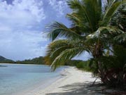 Trellis Bay Image 6