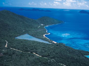 Trellis Bay Image 12
