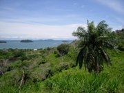 Panama Image 6