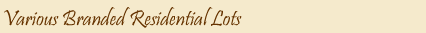 Various Branded Residential Lots