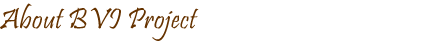 About BVI Project